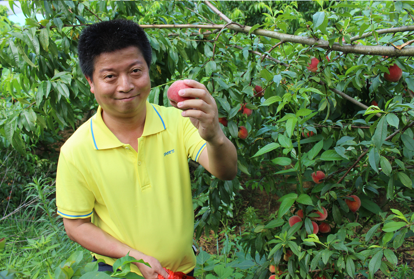 1590133250602460.jpg 121212.jpg