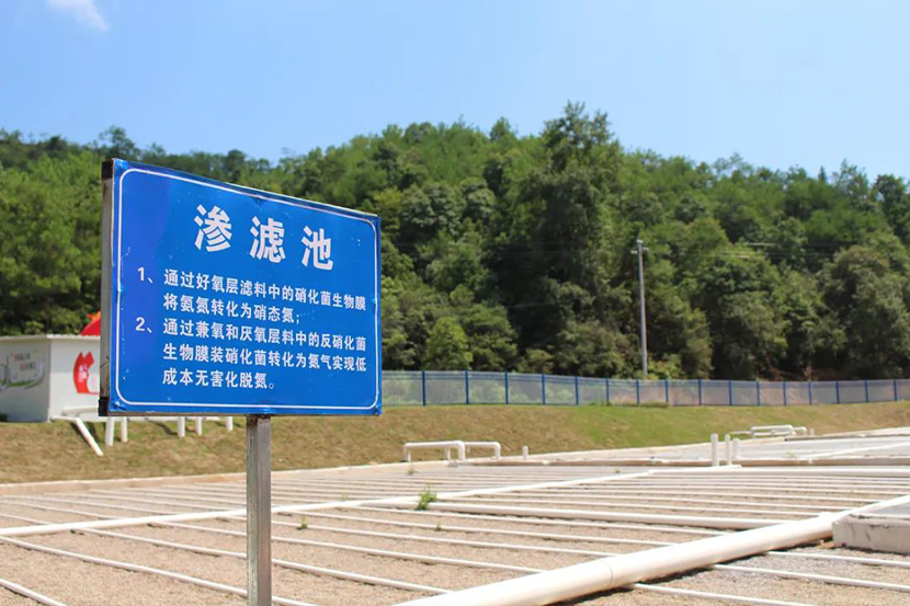 1599028167837310.jpg 1597980129949894.jpg