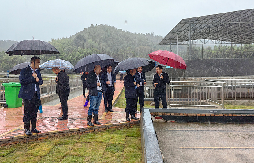 1669360916649508.jpg 3.jpg