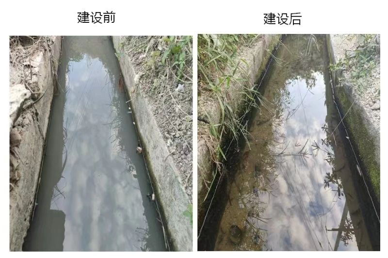 1733726925113824.jpg 微信圖片_20241209150337.jpg